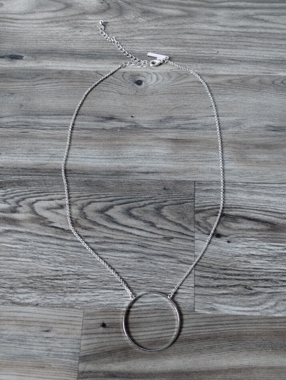 Lele Sadoughi Silver Circle Necklace